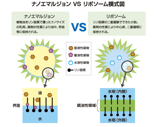 リポソーム、エマルジョン